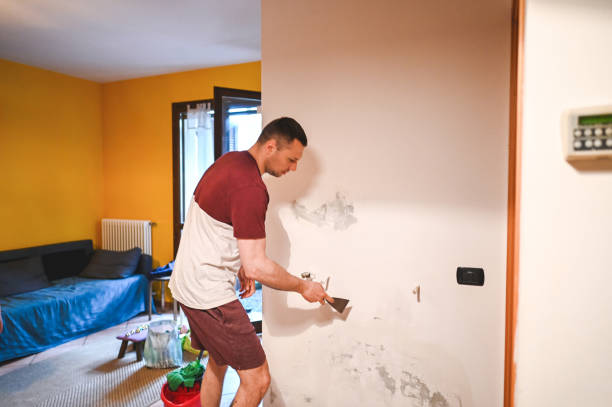 Best Attic Mold Removal  in , MA